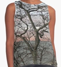 Sunset, pink clouds, exotic curved branches of a tree, beautiful view Contrast Tank