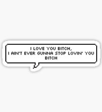 I Love You Bitch Sticker