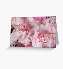 Pink Abundance Greeting Card
