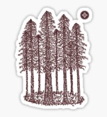 Cathedral Grove (Coastal Redwoods) Sticker