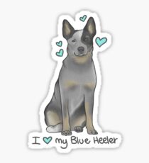 Australian Cattle Dog - Blue Heeler (male) Sticker