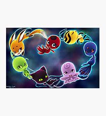 Miraculous Kwami Photographic Print
