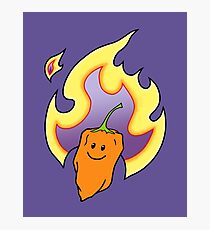 Hot Habanero - Cute and Spicy Photographic Print