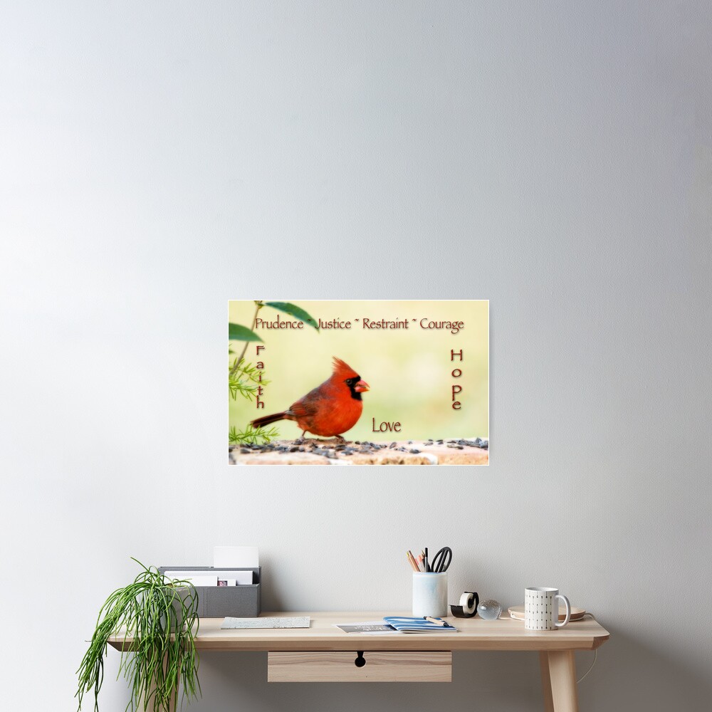 the-seven-cardinal-virtues-poster-by-miracles-redbubble