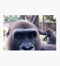 The Look Photographic Print