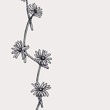 Bridget Jones on Twitter Daisy Chain  art drawing illustration  daisychain httpstcoolOhEhRpQL  Twitter