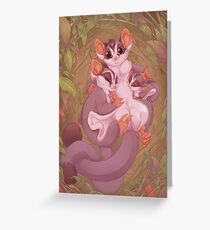 Sugar Gliders Greeting Card