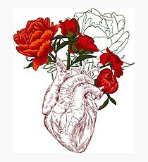 drawing Human heart with flowers Photographic Print