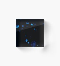 Jellyfish Acrylic Block