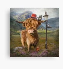 "Highland Cow" Canvas Print