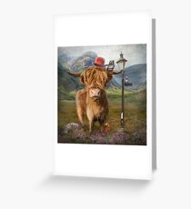 "Hochlandkuh" Grußkarte