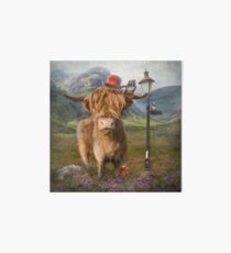 "Highland Cow" Art Board Print