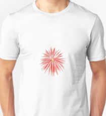 flash of firework, flash of fireworks, salute, fireworks, #flashoffirework, #flashoffireworks, #salute, #fireworks, #flash, #firework, #flashes, #salutes Unisex T-Shirt