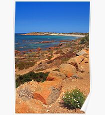 Bush meets Coast Poster