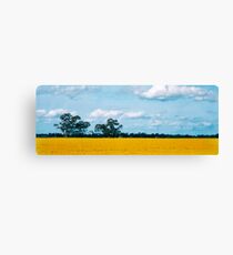 Field of gold Canvas Print