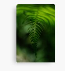 Alone in the shade Canvas Print