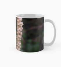 Catkins Mug