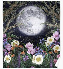 Midnight in the Garden II Poster