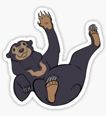 Sun Bear Sticker