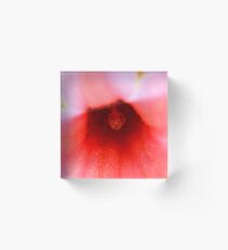 Pistil Acrylic Block