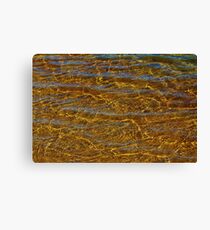 Transparent Water Bottom Canvas Print
