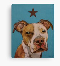 American Pit Bull Canvas Print