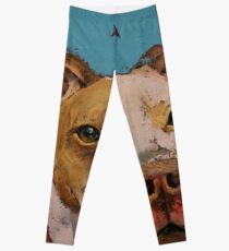 Amerikanischer Pitbull Leggings