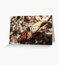 Love Dance Greeting Card