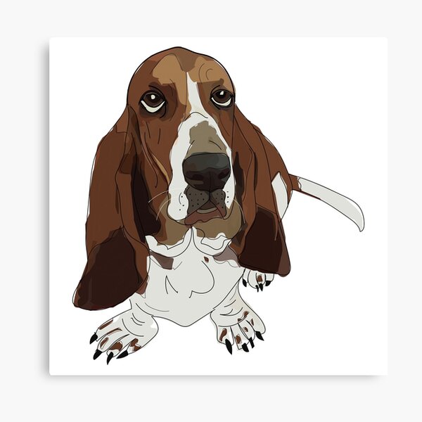 Basset Hound Canvas Print