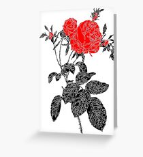Black and White Red Roses Greeting Card