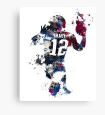 goat brady Canvas Print