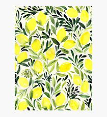 Lemons watercolor on creme white Photographic Print