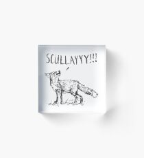 What a Certain Fox Says Acrylic Block
