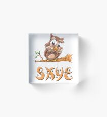 Skye Owl Acrylic Block