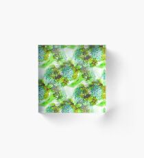 Wacky Broccoli Acrylic Block