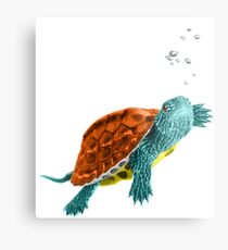 Squirtle Metal Print