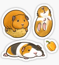 Guinea Pig set 2 Sticker