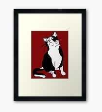 Playful Cat Framed Print