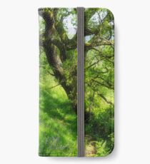 Bluebells At Coney’s Castle iPhone Wallet/Case/Skin
