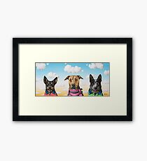 Working Dogs Framed Print