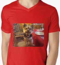 Is This My Place? Men's V-Neck T-Shirt