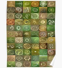 Crop Circles Poster
