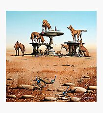 Bush Picnic Photographic Print