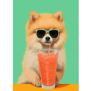 Pomeranian sunglasses 2024