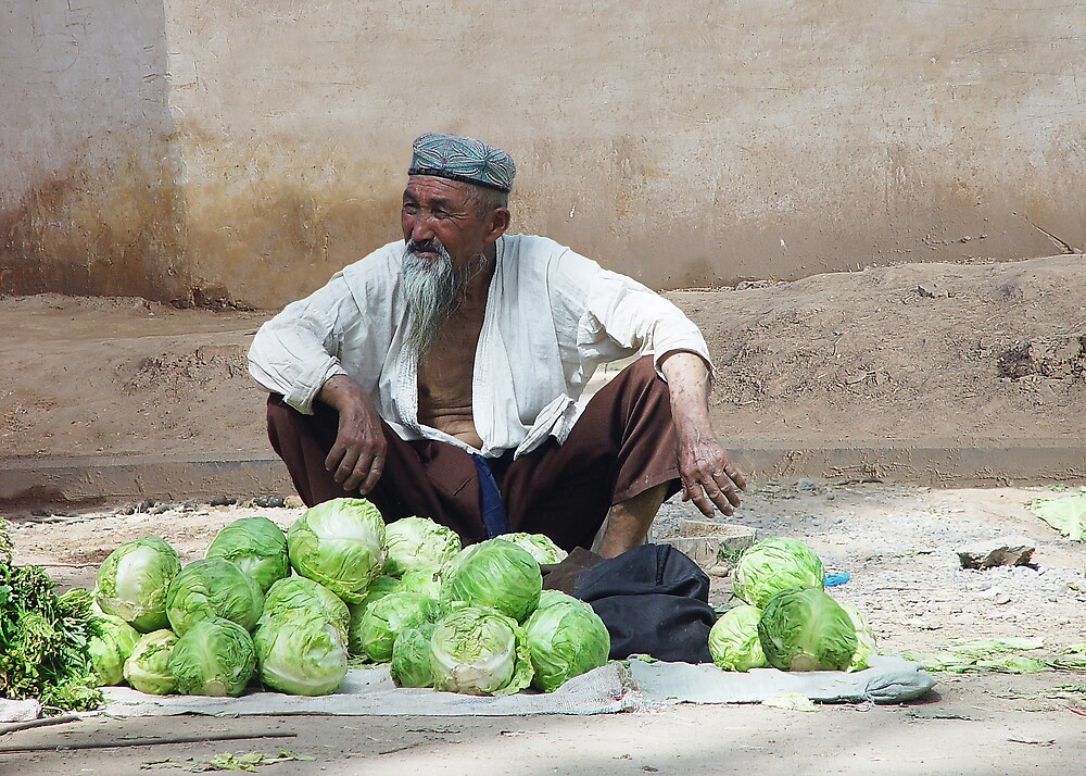 cabbage man pop