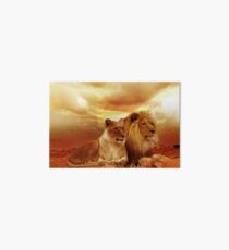 Lion and Lioness Art Board