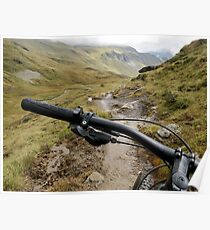 Downhill Mountain Biking Poster
