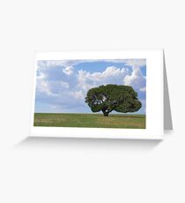 Solitude Greeting Card