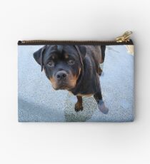 Precious Studio Pouch