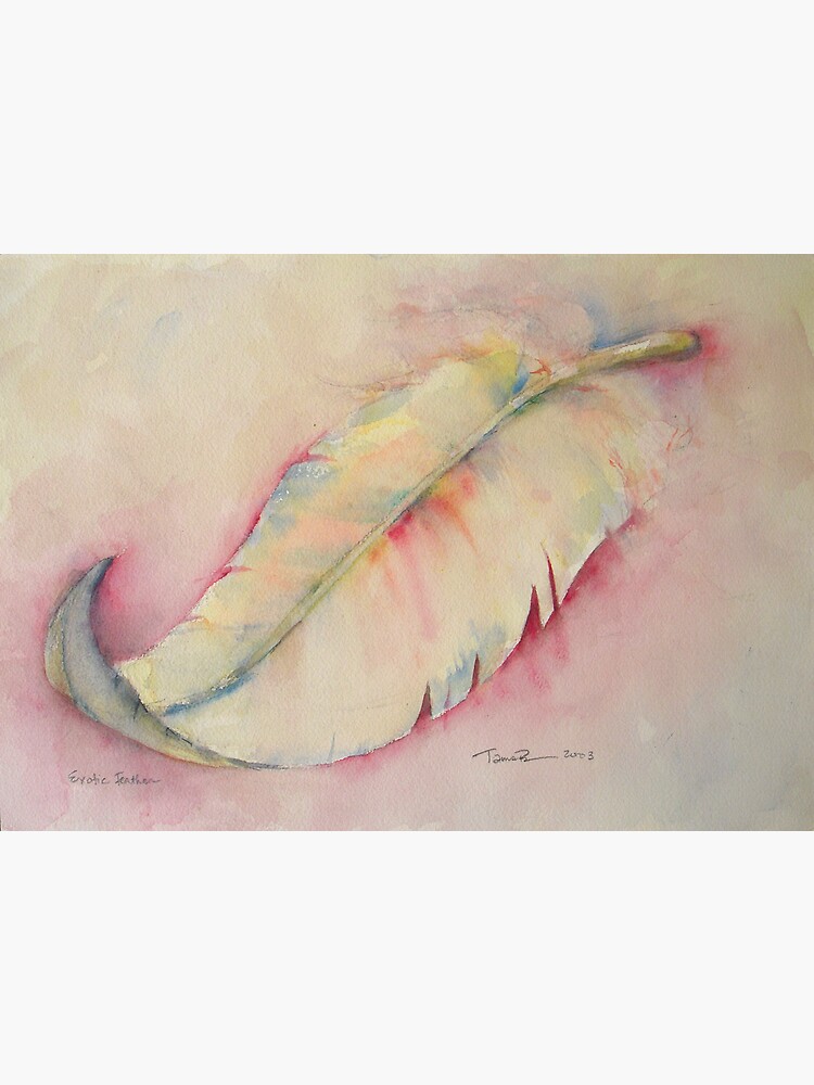 "Exotic Feather" Photographic Print by matadecoco Redbubble